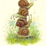 High rise living for snails