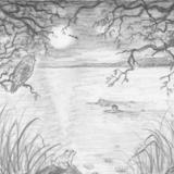Night after night, when the lake was quiet