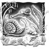 Snail tale