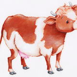 C is for Cow (from animal alphabet / Ali Ink)