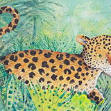 Jungle leopard