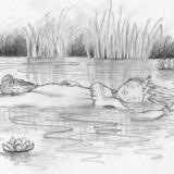 The Light Princess (sketch) 