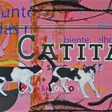 Catita cats