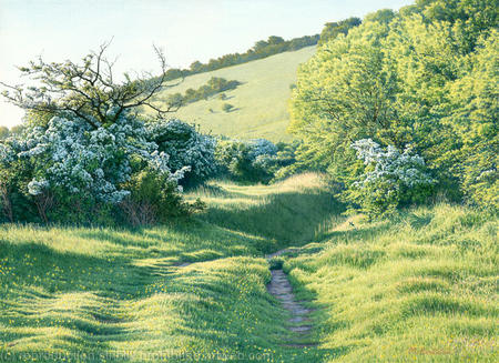 Spring Path