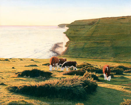 Cliffs and Cows
