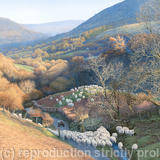 Valley with Sheep - Brecon Beacons