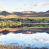 Caladonean Reflection