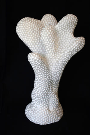 coral form I (2011)