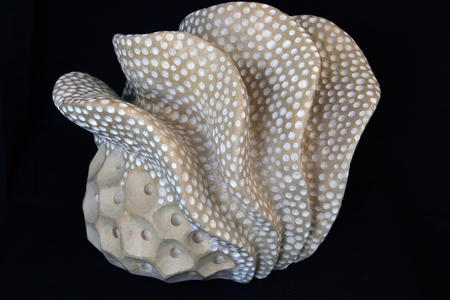 coral form IV (2011)