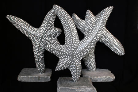 starfish dance group (2011)