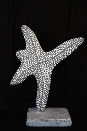 starfish dance III (2011)
