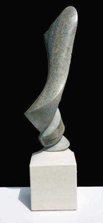 turned out fine (2010)