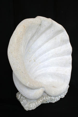 shellform (2012)