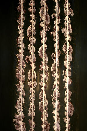 line noise III (2012)