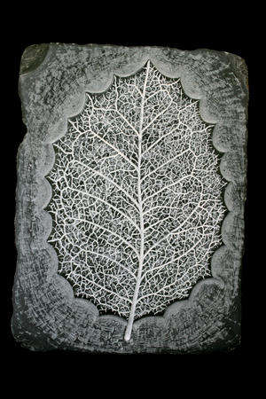 leaf (2012)