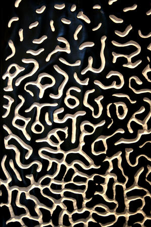 turing pattern 2 detail (2012)