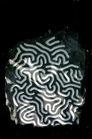 turing pattern I (2012)