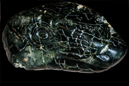 lizard head II (2007)