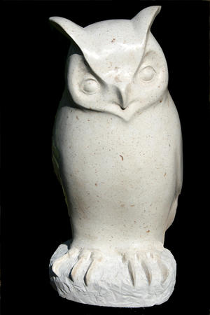 owl (2008)