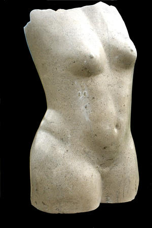 hopton torso (2006)