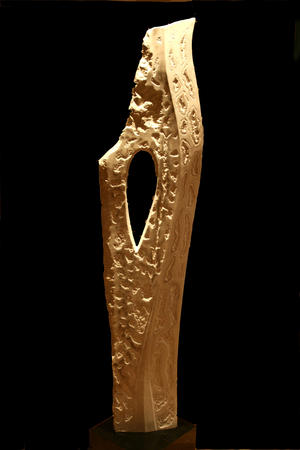 oiseaux de balzac (2010)