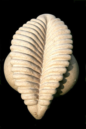 motherhood II (2010)