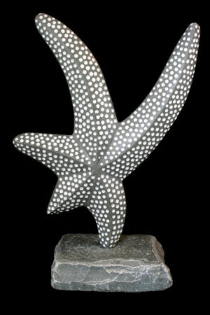 starfish dance I (2011)