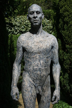 dwayne - updated 2014