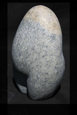 primal woman V (2013)