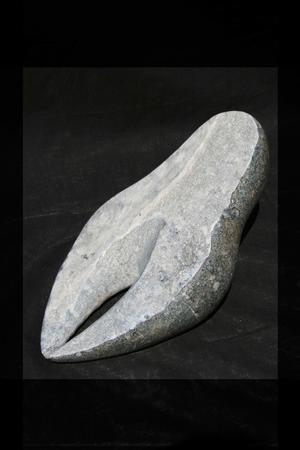 winkle picker (2014)