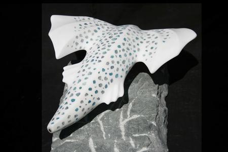 we have lift off (2014)