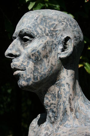 dwayne - updated 2014