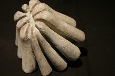 sea life 3 inverted (2016)