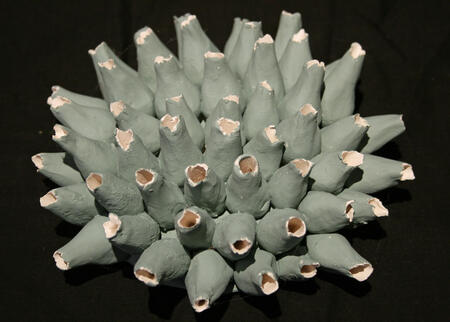 sea form series (2020)