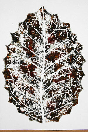 variations on a leaf