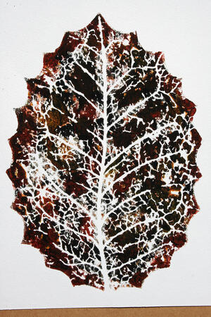 variations on a leaf