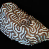 another place (2012)