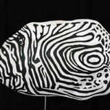 fish pattern I (2011)