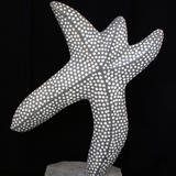 starfish dance II (2011)