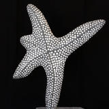 starfish dance III (2011)