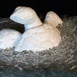 time to leave (2012)