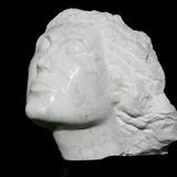 carrara head (2007)