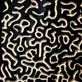 turing pattern 2 detail (2012)