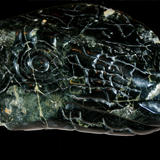 lizard head II (2007)