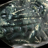 lizard head IV (2007)