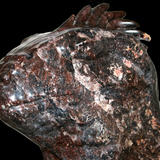 lizard head V (2007)