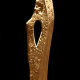 oiseaux de balzac (2010)