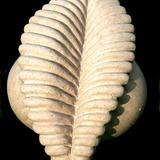 motherhood II (2010)