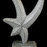 starfish dance I (2011)