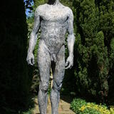 dwayne - updated 2014